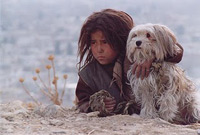 A still from Stray Dogs (2004)