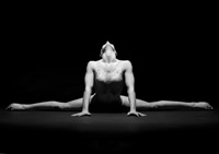 Thea Payne's The Gymnast