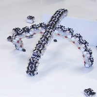 Swarm of robots