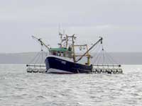A scallop dredger