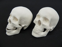 Skeletons
