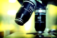 Microscope