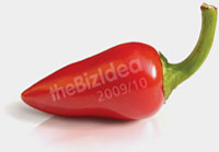 Bizidea 2010 Competition