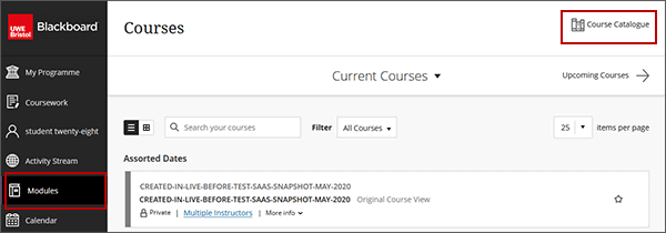 example screenshot of the course catalogue option