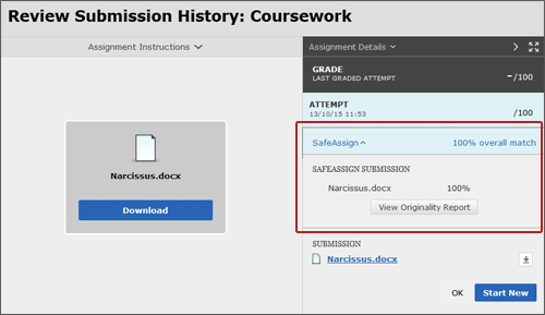 example screenshot showing the SafeAssign section of the Review Submission History page