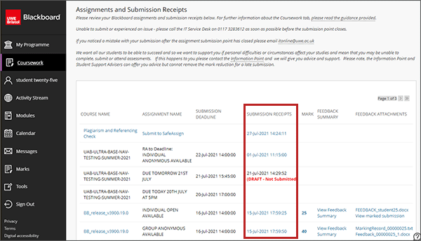 example screenshot highlighting the submission receipts area on the Coursework area