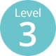 Level 3