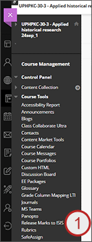 example screenshot showing the Release Marks to ISIS tool under Course tools