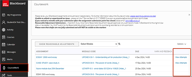 example screenshot highlighting the submission receipts area on the Coursework area