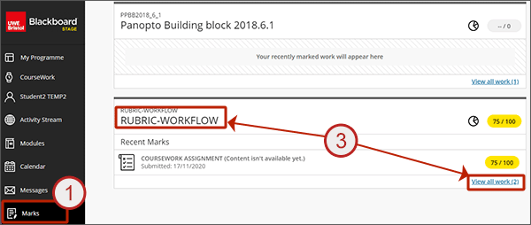 example screenshot showing the Marks link in the left hand navigation