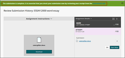screenshot showing an example green success message after submission