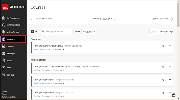 example screenshot of the Blackboard Modules list