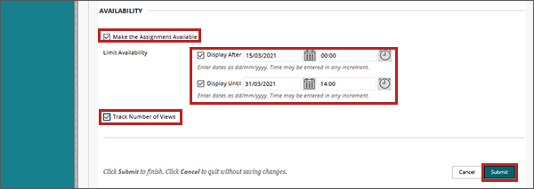 example screenshot of the create assignment screen with the Make the Assignment Available; Display After; Display Until; and Track Number of Views fields highlighted