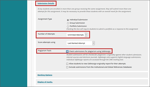 example screenshot of the create assignment screen with the Submission Details; Number of Attempts; and Plagiarism Tools fields highlighted