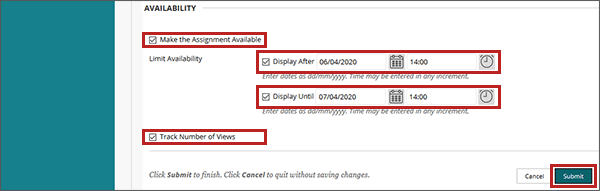example screenshot of the create assignment screen with the Make the Assignment Available; Display After; Display Until; and Track Number of Views fields highlighted