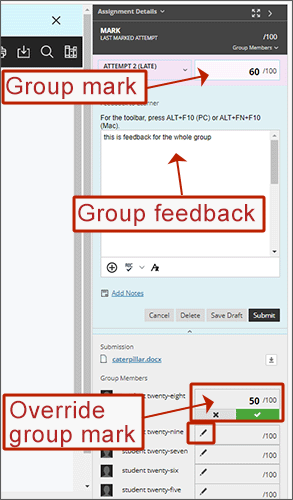 example screenshot showing the group attempt mark, the group feedback and where to override a specific users mark