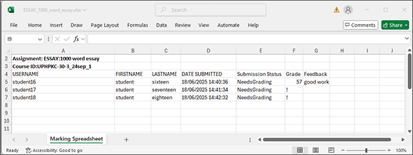 example screenshot of the marking spreadsheet