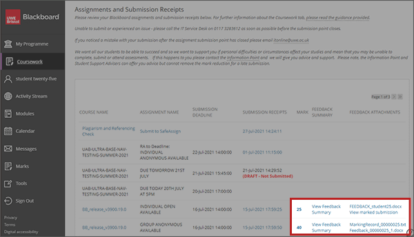 example screenshot of the coursework tab with marks and feedback highlighted