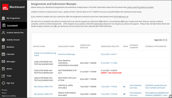 example screenshot of the student Coursework area