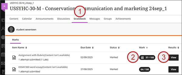example screenshot showing steps 1 to 3 above